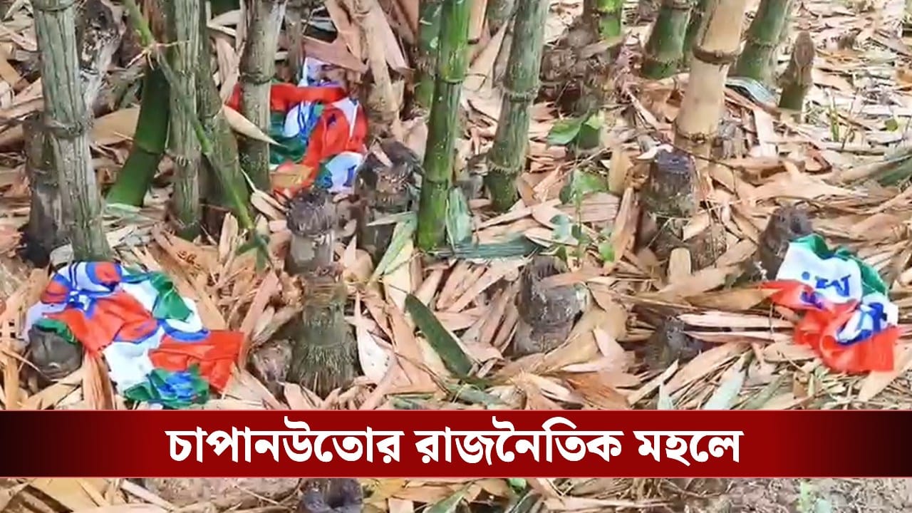 Bankura: রাতের অন্ধকারে কারা ছিঁড়ল তৃণমূলের পতাকা? ব্যাপক উত্তেজনা বাঁকুড়ায় Bankura: রাতের অন্ধকারে কারা ছিঁড়ল তৃণমূলের পতাকা? ব্যাপক উত্তেজনা বাঁকুড়ায়
