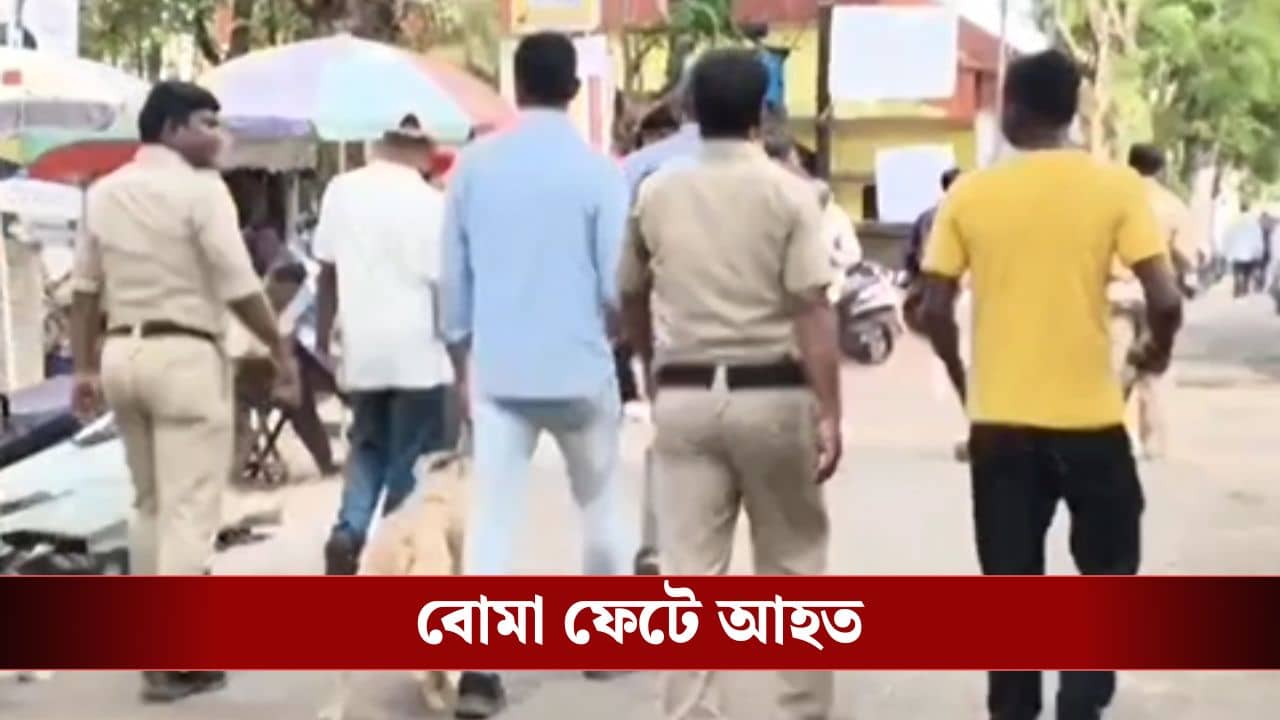 Bomb Blast: প্লাস্টিকের বল ভেবে ফেলতে গিয়ে বিপত্তি, ভোটের মুখে ফের উঠল প্রশ্ন