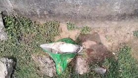 ফের বোমা উদ্ধার মুর্শিদাবাদে, হিংসামুক্ত ভোট কি সম্ভব বাংলায়?