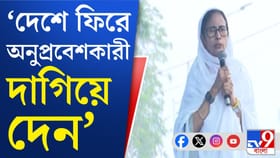 SIR-এ নাম বাদ, মমতার নিশানায় মোদী