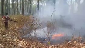 দাউদাউ করে জ্বলল জঙ্গল, পুড়ে গেল দামি-দামি গাছ