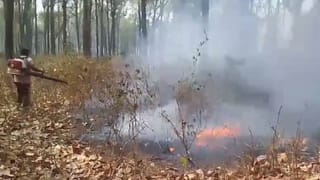 Chalsa forest: দাউদাউ করে জ্বলল জঙ্গল, পুড়ে গেল দামি-দামি গাছ