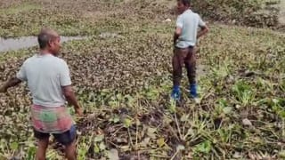 Dhupguri: মার্কেটে যেতেই চক্ষু চড়কগাছ, এ কী দেখলেন এলাকাবাসী