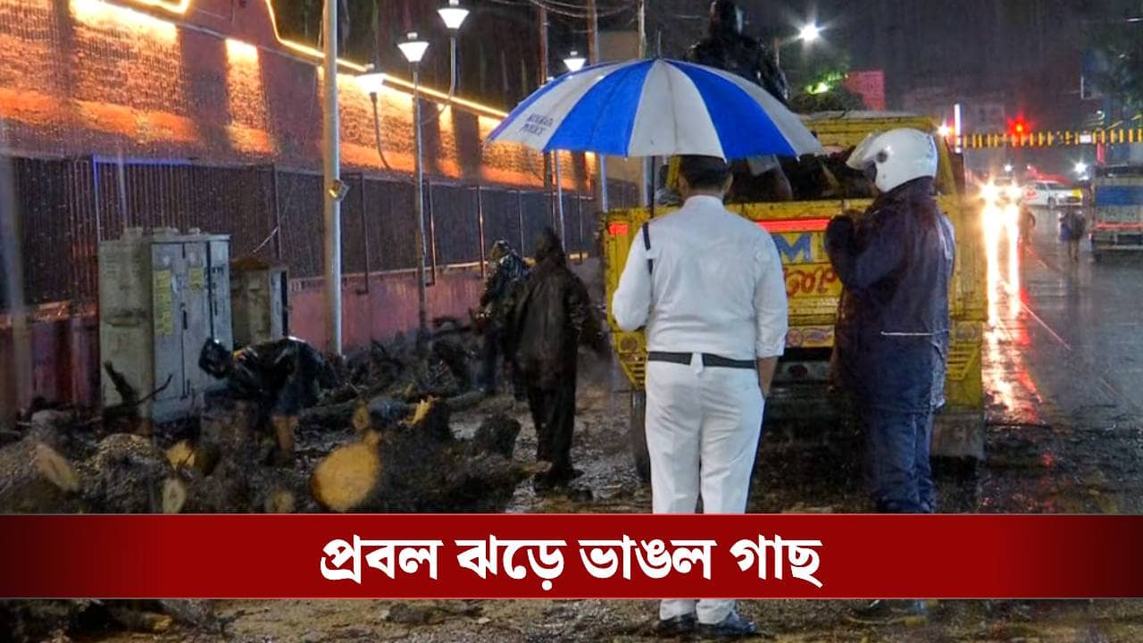 Kalboishakhi: ৭২ কিমি বেগে কালবৈশাখী, লণ্ডভণ্ড কলকাতা, গাছ ভেঙে ভয়াবহ দুর্ঘটনা