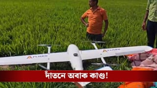 Medinipur: ভোররাতে গভীর রহস্য দাঁতনে! ধানজমির দিকে তাকিয়েই চমকে উঠলেন গ্রামবাসীরা