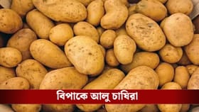 ৮০-৯০ বস্তা আলু নিয়ে কী করবে ওরা, এলাকায় নামাতে হল সেন্ট্রাল ফোর্স