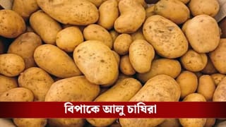 Hooghly: ৮০-৯০ বস্তা আলু নিয়ে চরম বিপাকে পড়েছে ওরা, এলাকায় নামাতে হল সেন্ট্রাল ফোর্স