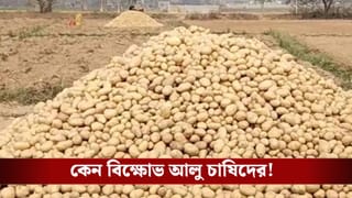 Potato Farmers: সকাল ৯টার পর বদলে গেল পরিস্থিতি, ফের আলু নিয়ে বিপাকে চাষিরা