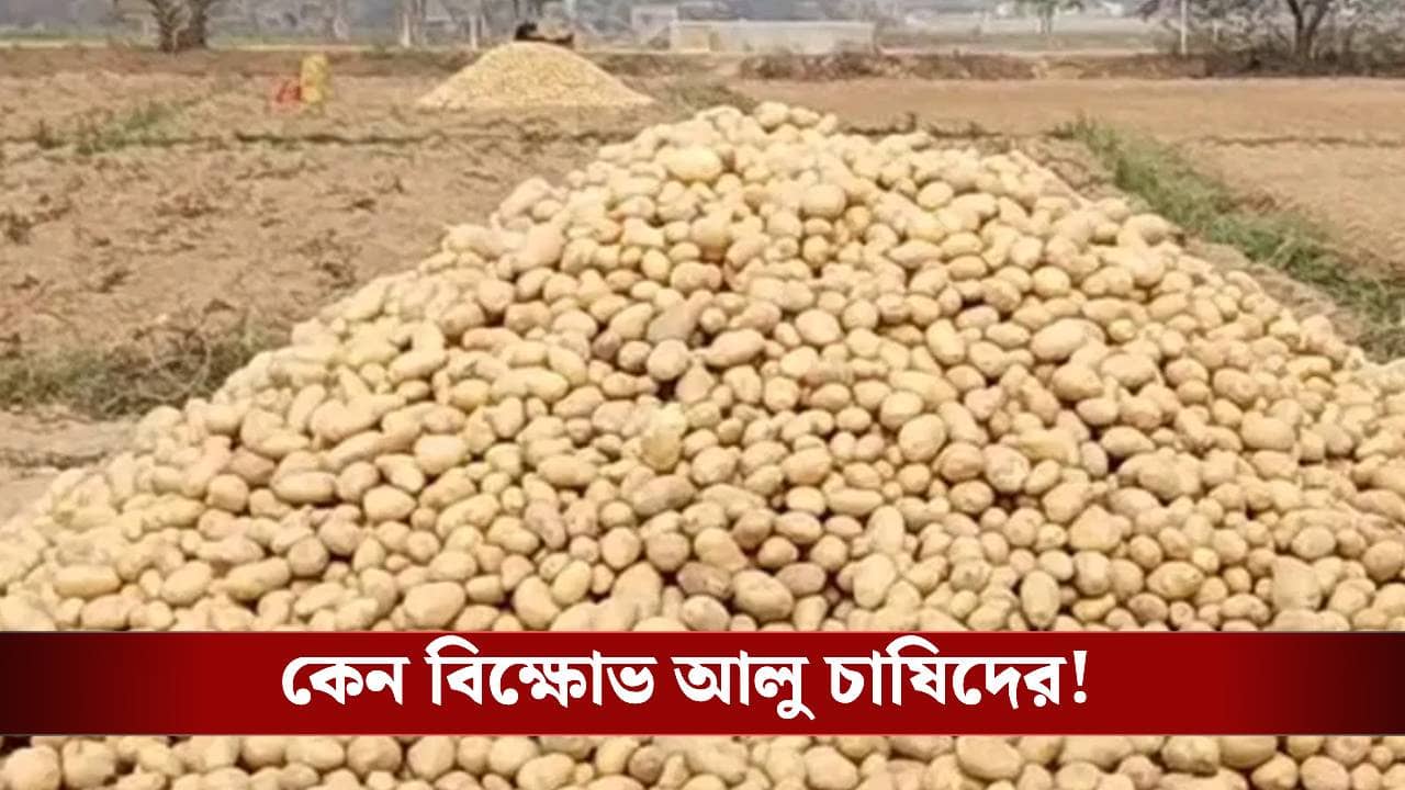 Potato Farmers: সকাল ৯টার পর বদলে গেল পরিস্থিতি, ফের আলু নিয়ে বিপাকে চাষিরা