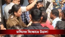 লঙ্কার দর কমিয়ে দেওয়া হচ্ছে, মমতার সভাস্থলের অদূরেই চাষিদের বিক্ষোভ