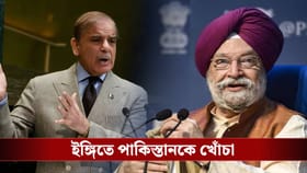 নেই জ্বালানি-সংকট, পাকিস্তানকে দাঁড়িপাল্লায় টানলেন কেন্দ্রীয় মন্ত্রী