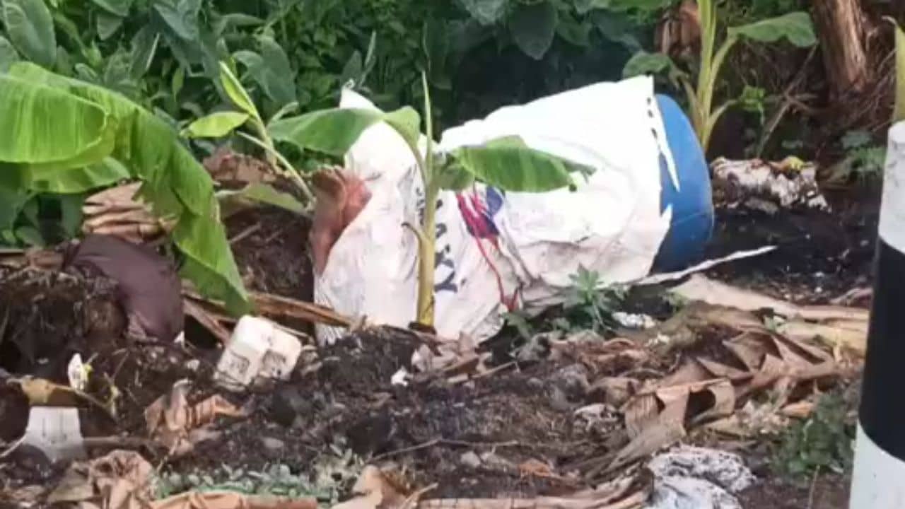 Hooghly: এবার নীল ড্রাম আতঙ্ক হুগলিতে, নজর পড়তেই শিউরে উঠলেন সকলে