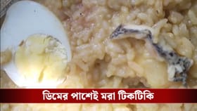 অঙ্গনওয়ারি কেন্দ্রের খাবারে ফের টিকটিকি, অসুস্থ ১৫ শিশু!