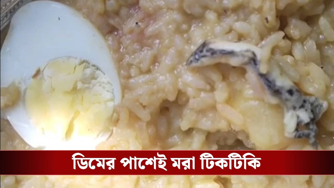 ICDS Food: অঙ্গনওয়ারি কেন্দ্রের খাবারে ফের টিকটিকি, অসুস্থ ১৫ শিশু! রাঁধুনিদের অপসারণের দাবি তুমুল বিক্ষোভ