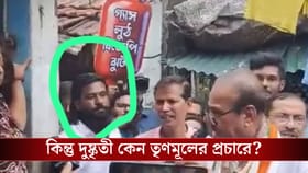 জেলখাটা দুষ্কৃতী জাভেদ খানের সঙ্গে প্রচারে? জানাজানি হতেই TMC বলল...