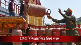 আর রান্নার গ্যাসের জন্য হা-হুতাশ করতে হবে না, LPG নিয়ে সুখবর দিল সরকার
