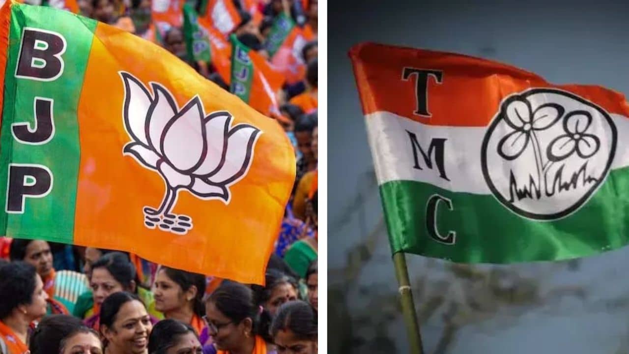 মার্জিন ছিল ৪০০, নাম বাদ পড়ল ১৯০০০, লাভ তৃণমূলের না বিজেপির? এই কেন্দ্রগুলোর অঙ্ক কী বলছে