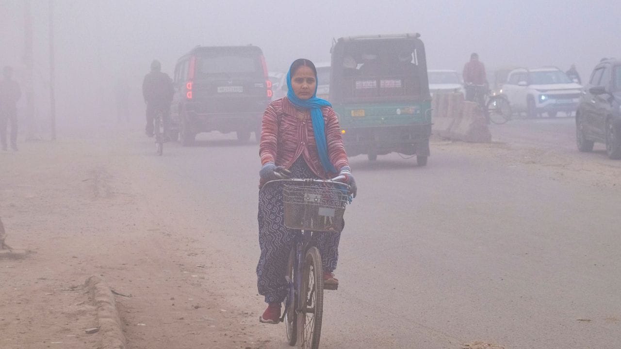 Weather Update: হঠাৎ হল কী! দোলের সকালে ঝুপ করে টেম্পারেচার নামল ৫ ডিগ্রি