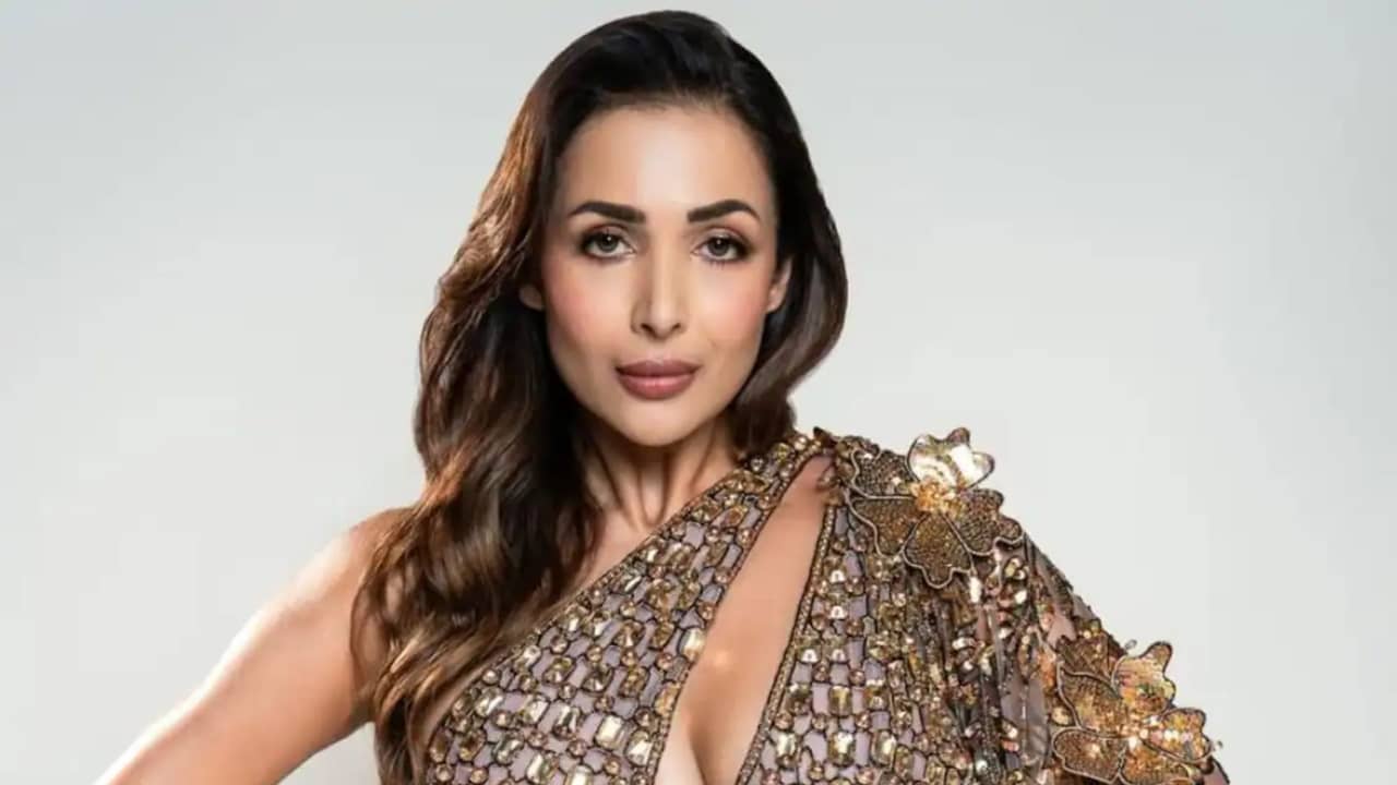 ১৯ বছরের ছোট, হিরের ব্যবসায়ীকেই বিয়ে? মালাইকার ছেলের কী এই বিয়েতে মত রয়েছে?