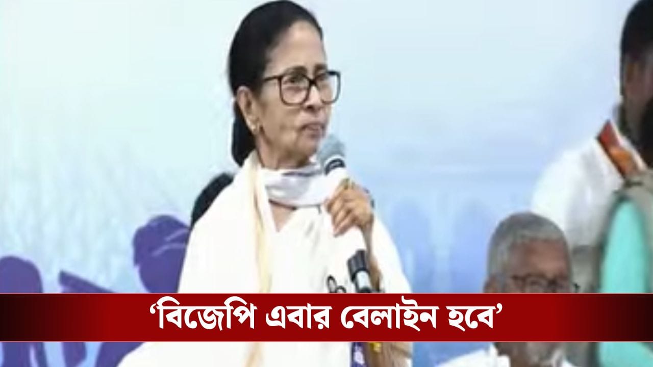 West Bengal Election 2026 Live: '২৯৪ আসনে আমিই প্রার্থী', আরও একবার দলীয় কর্মীদের বুঝিয়ে দিলেন মমতা West Bengal Election 2026 Live: '২৯৪ আসনে আমিই প্রার্থী', আরও একবার দলীয় কর্মীদের বুঝিয়ে দিলেন মমতা