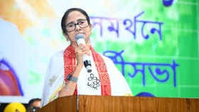 '২৯৩টি আসন দেখবেন মমতা', বাকি একটি আসন তৃণমূলের কারা দেখবেন?