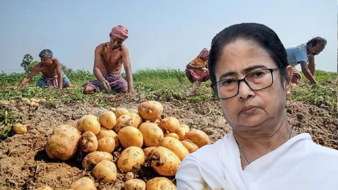 আলু চাষিদের জন্য সুখবর, বড় সিদ্ধান্তের কথা জানালেন মমতা