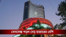 শেয়ার বাজারে বড় ধস, হুড়মুড়িয়ে পড়ল সেনসেক্স, নিফটি
