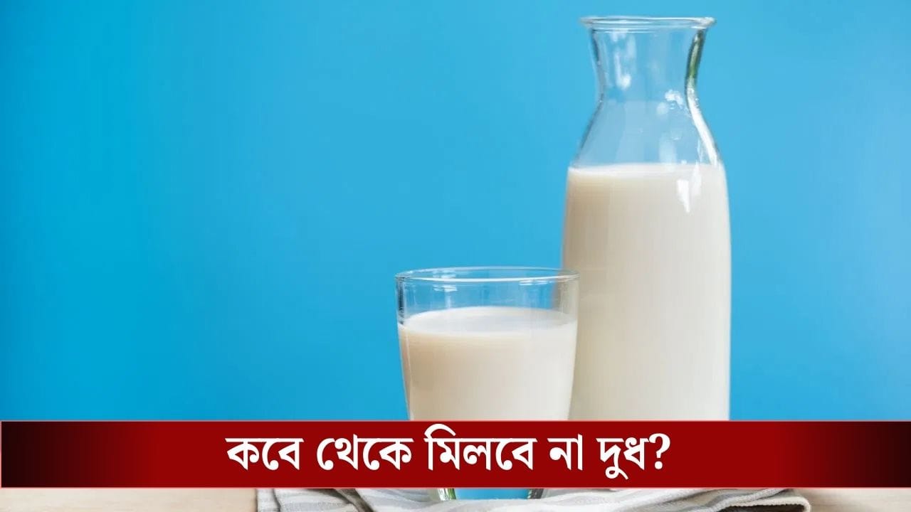 Milk Crisis : যুদ্ধের কোপ! আর মিলবে না দুধ? গ্যাস সংকটের মধ্যেই বড় অশনি সংকেত? Milk Crisis : যুদ্ধের কোপ! আর মিলবে না দুধ? গ্যাস সংকটের মধ্যেই বড় অশনি সংকেত?