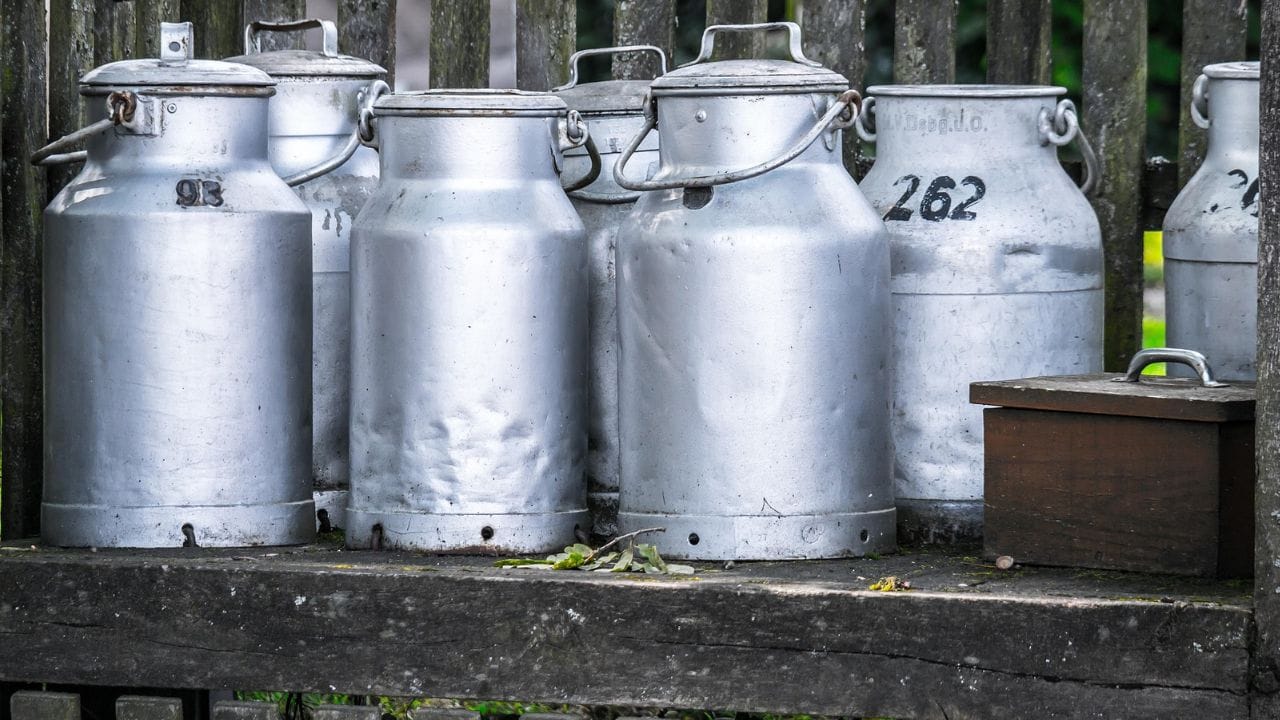 বমি, পেটে ব্যথা…ভেজাল দুধ খেয়ে মৃত্যুর কোলে ঢলে পড়লেন একের পর এক মানুষ