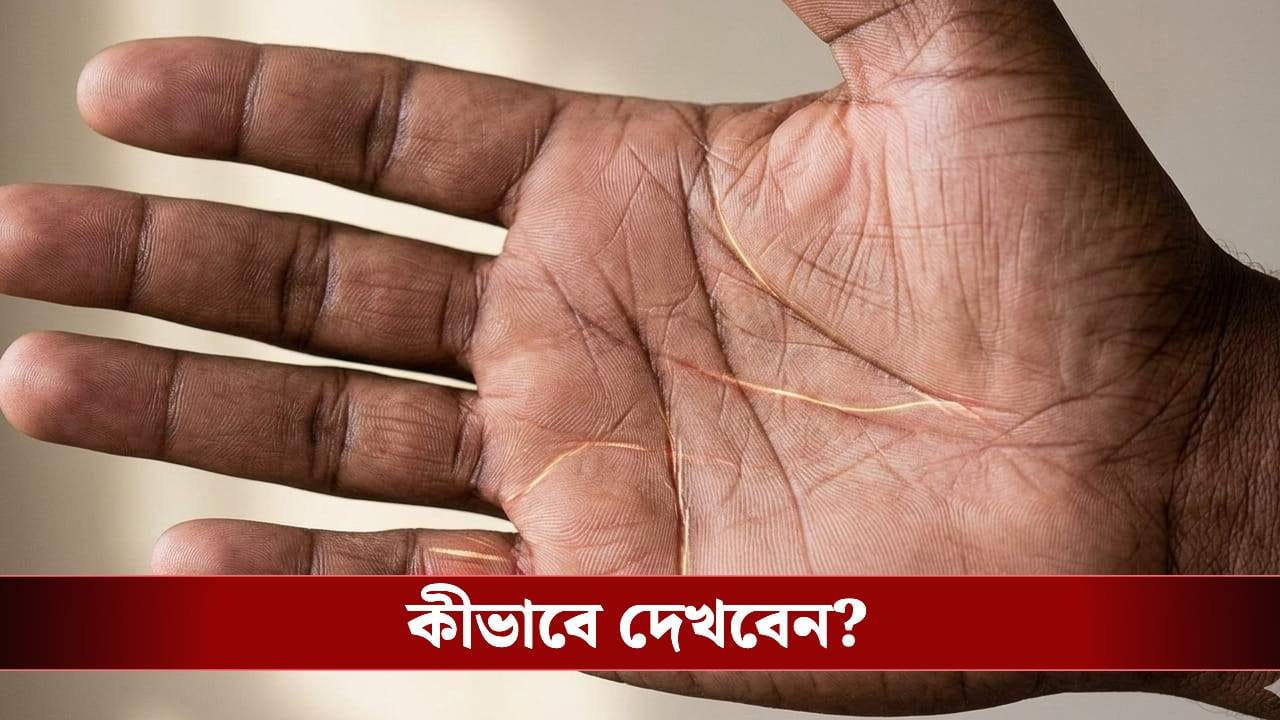 ক'টা বিয়ে করবেন আপনি? কোন বয়সে হবে বিয়ে? লেখা আছে আপনার হাতেই ক'টা বিয়ে করবেন আপনি? কোন বয়সে হবে বিয়ে? লেখা আছে আপনার হাতেই