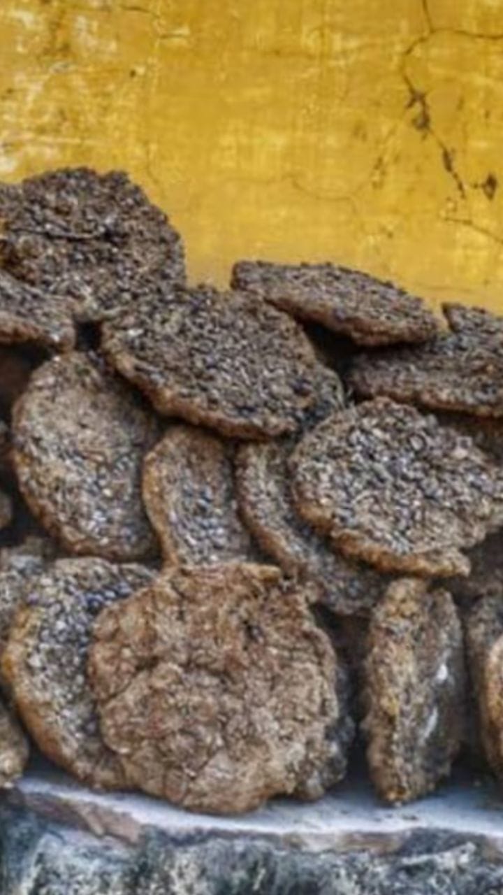 ঘুঁটেকে এতদিন কেউ মনে রাখেনি...