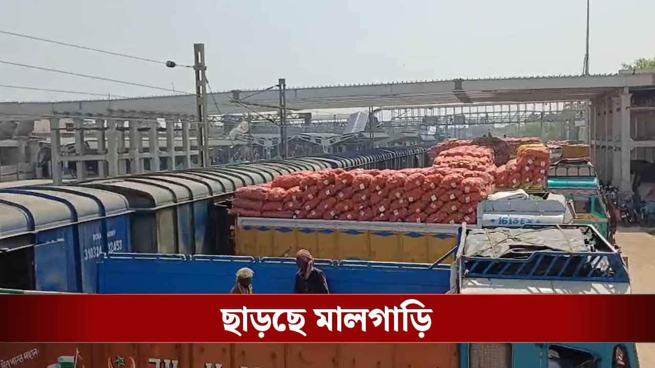 Potato Crisis in Bengal: ভিন রাজ্যে হাজার হাজার বস্তা আলু পাঠাচ্ছে তৃণমূলের সংগঠন! এবার কত বাড়তি আলু ফলেছে জানেন?