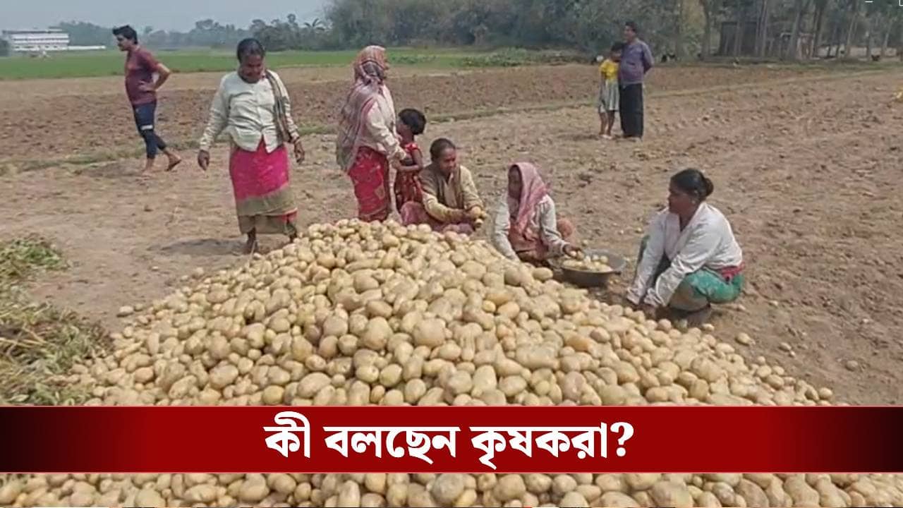 Hooghly: আলুর দাম না পেয়ে হাহাকার, ভোটে কি প্রভাব পড়বে? ক্ষোভ উগরে যা বললেন কৃষকরা...