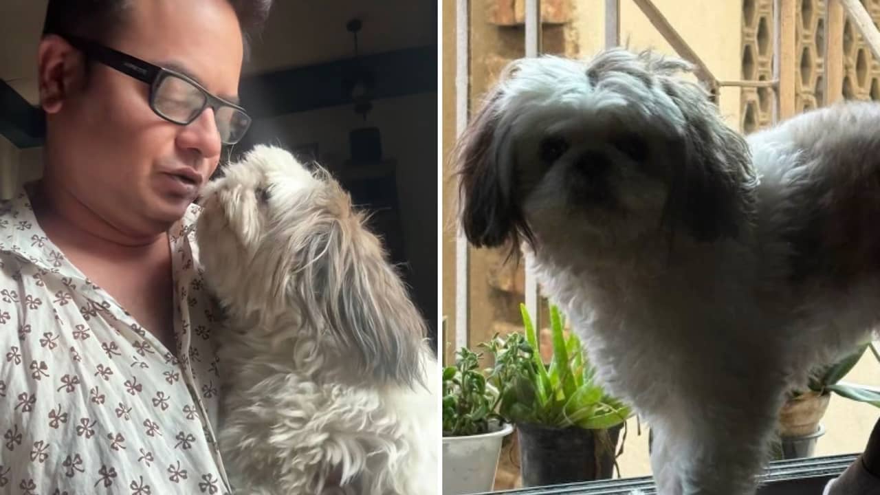 আর কোলে নেবে না, রাহুল যে নেই বুঝে গিয়েছে ছোট্ট কুট্টুস, তাই...