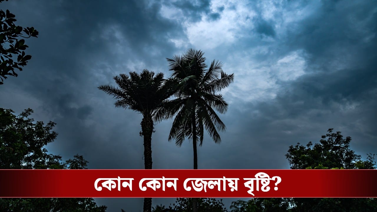 Rain Forecast: আজ কোথায় কোথায় বৃষ্টি?
