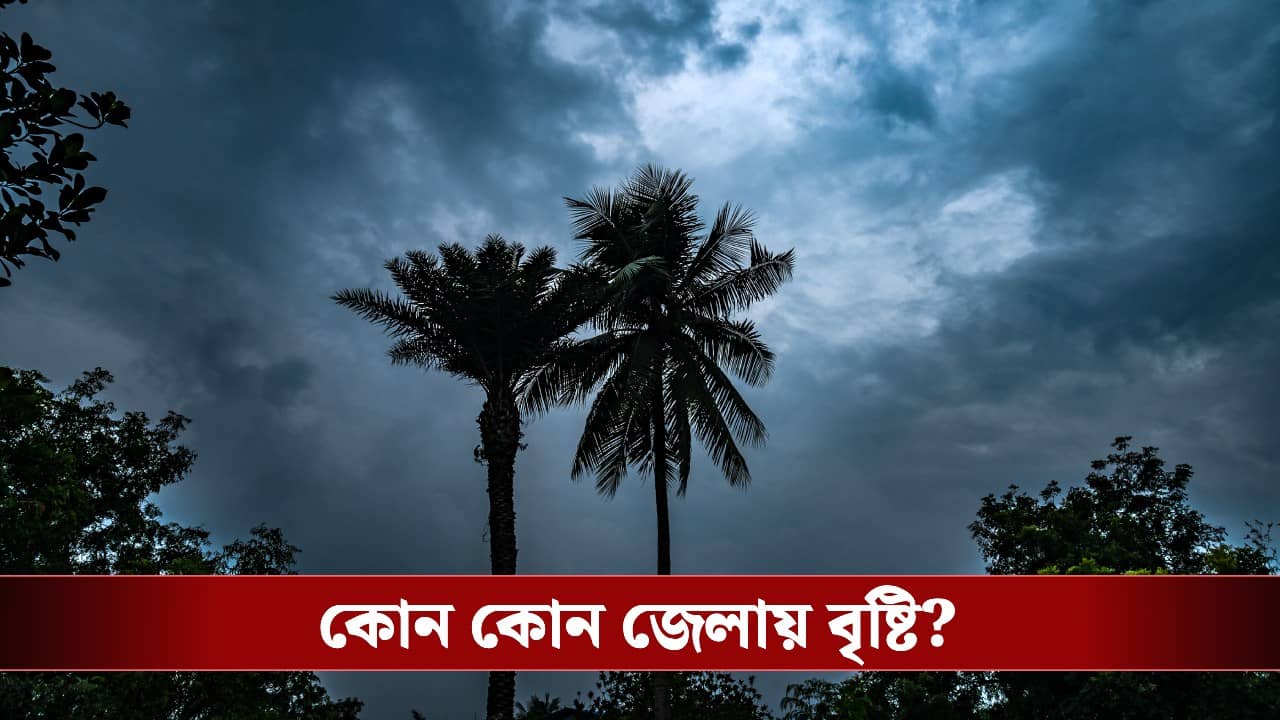 Weather Update: রবিবার থেকেই বাংলায় হাওয়া বদল, খেলা শুরু বৃষ্টির! ভিজতে চলেছে কোন কোন জেলা?
