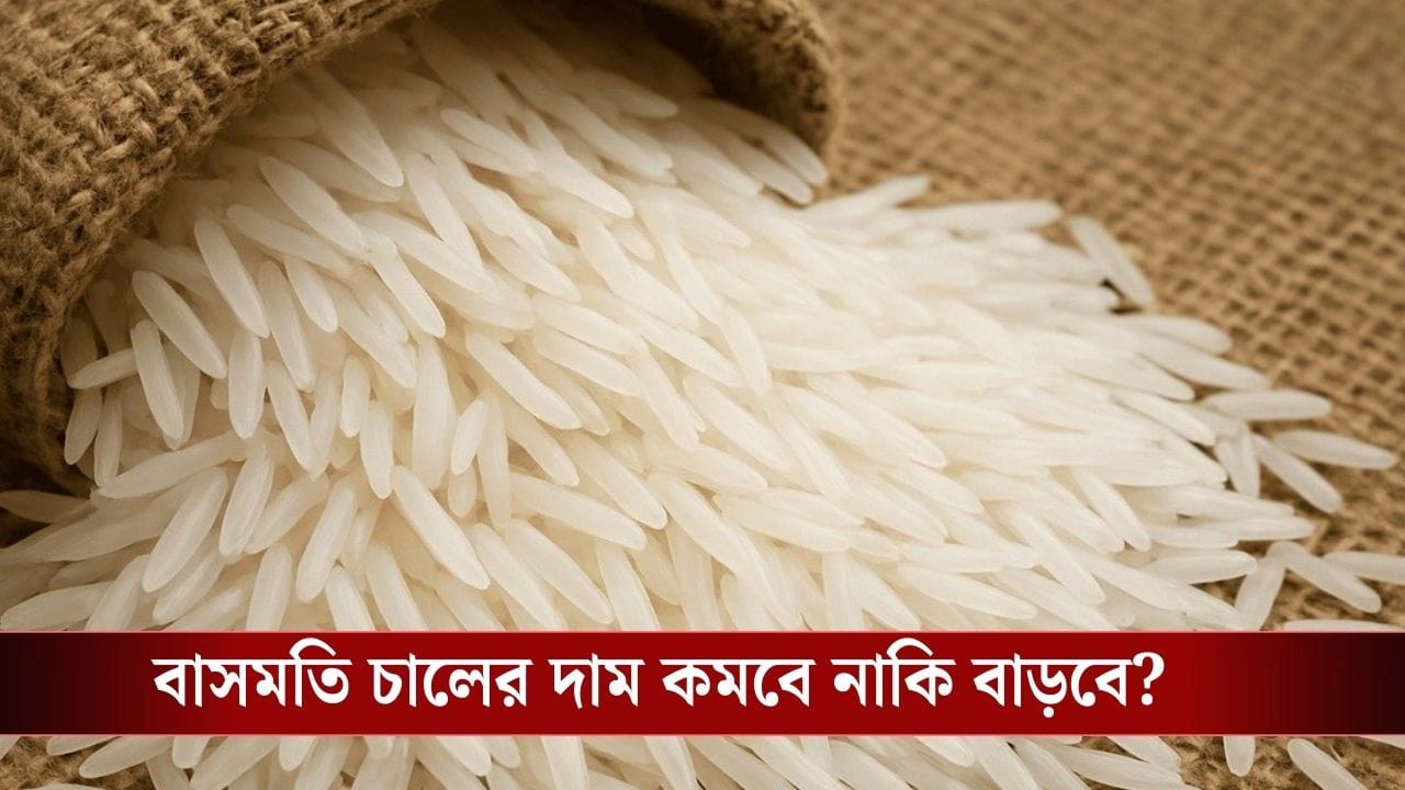 Basmati Rice Trade : বাসমতি চাল রপ্তানিতে বড় ধাক্কা ! ৫০ হাজার কোটি ক্ষতির আশঙ্কা ভারতের Basmati Rice Trade : বাসমতি চাল রপ্তানিতে বড় ধাক্কা ! ৫০ হাজার কোটি ক্ষতির আশঙ্কা ভারতের