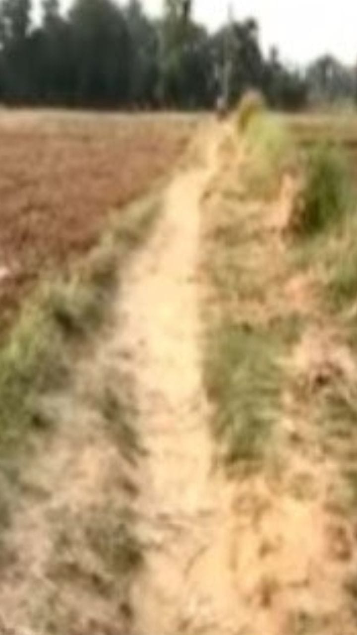 ভোট এলেও 'প্রচার'হীন কেতুগ্রামের বিধানপল্লী