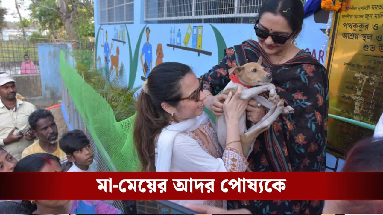 অসহায় প্রাণীদের জন্য জুনের উদ্যোগ, কেন পদক্ষেপ করলেন?