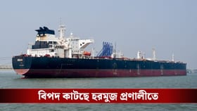 শনির রাতেই মুম্বইয়ে ঢুকছে ১.৪ লক্ষ মেট্রিক টন সৌদি আরবের তেল