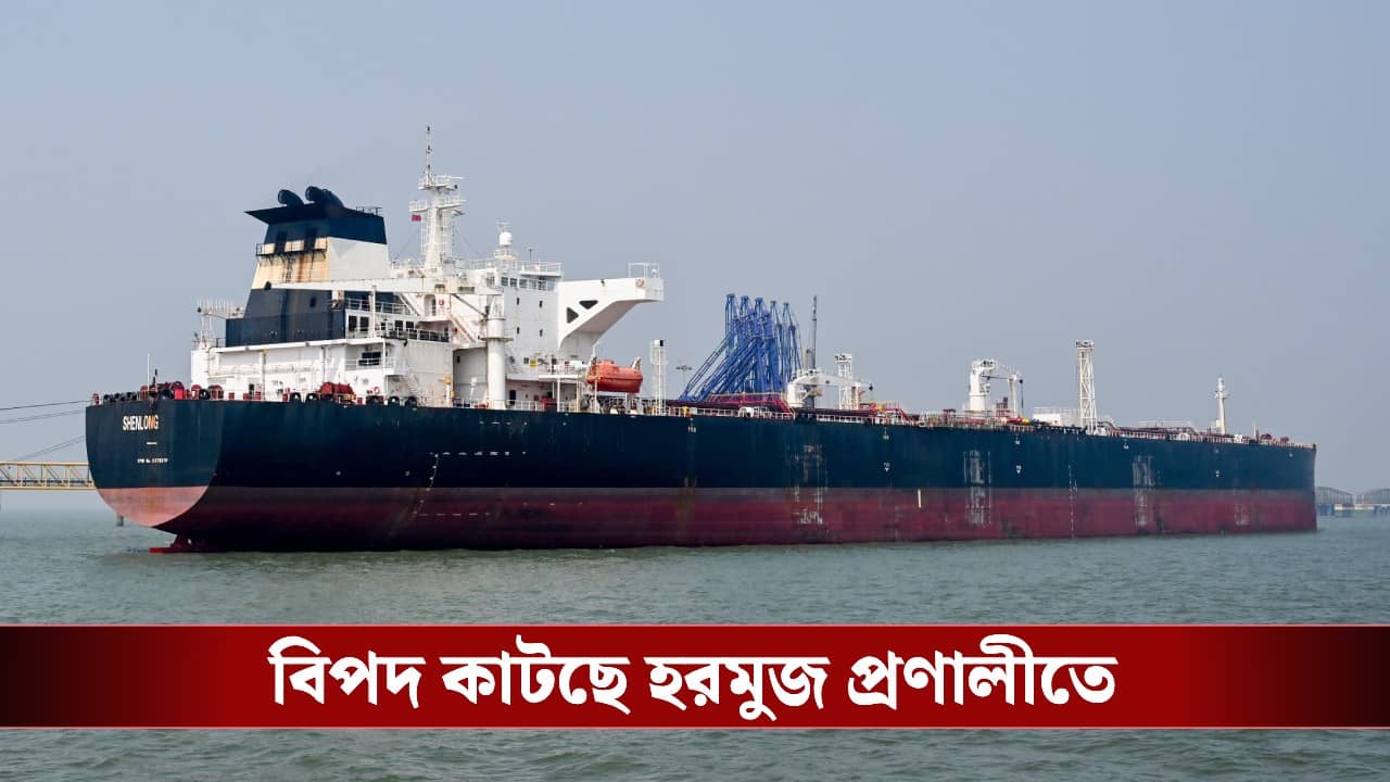 Strait of Hormuz: হরমুজে কাটছে বিপদের মেঘ! শনির রাতেই মুম্বইয়ে ঢুকছে ১.৪ লক্ষ মেট্রিক টন সৌদি আরবের তেল