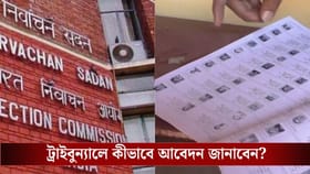 সাপ্লিমেন্টারি তালিকায় নাম বাদ? কোথায়, কীভাবে আবেদন করবেন? জেনে নিন