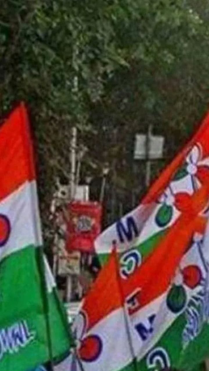 ভোট চাইতে গিয়ে তুমুল নাচ শাসক প্রার্থীর, দেখুন ভিডিয়ো