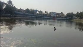 দুধ পুকুরে স্নানে নামতেই হাড়হিম ঘটনা