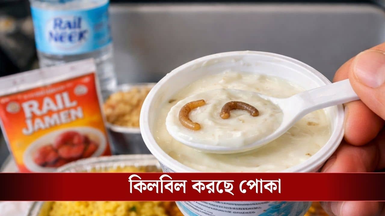 Indian Railway : বন্দে ভারতে দইয়ে কিলবিল করছে পোকা, ৫০ লক্ষ জরিমানা রেলের