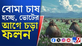 ফরাক্কায় ব্যাগ ভর্তি তাজা বোমা, ভোটের আগে চাঞ্চল্য