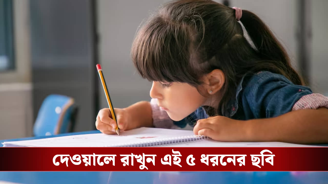 পড়াশোনায় মন বসছে না খুদের? ঘরের দেওয়ালে এই সামান্য বদলই ফেরাতে পারে ম্যাজিক!