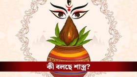 বাসন্তীপুজোর সময় এই জিনিস কিনছেন? অজান্তে এই ৫ ভুল করলেই বিপদ!
