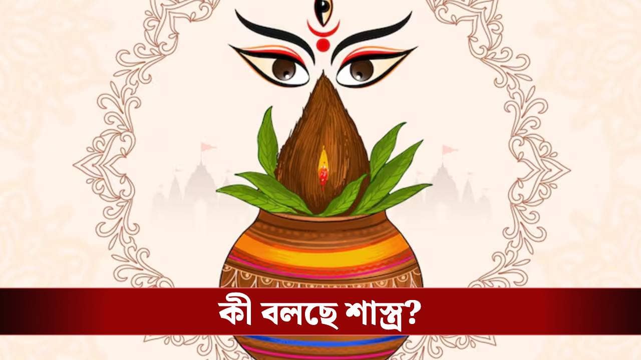 বাসন্তীপুজোর সময় এই জিনিস কিনছেন? অজান্তে এই ৫ ভুল করলেই বিপদ!