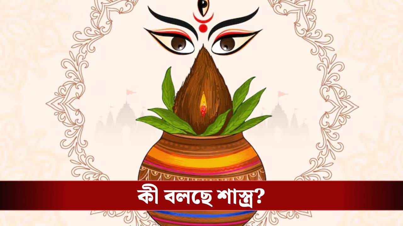 বাসন্তীপুজোর সময় এই জিনিস কিনছেন? অজান্তে এই ৫ ভুল করলেই বিপদ! বাসন্তীপুজোর সময় এই জিনিস কিনছেন? অজান্তে এই ৫ ভুল করলেই বিপদ!